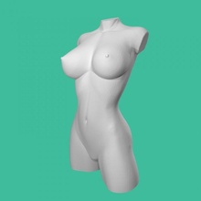 donna torso nudo tinkercad 3d print model - Mito3D