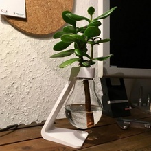 luce lampadina vaso upcycling decorazione design scrivania Fai creativo raccolta differenziata progetto lampada e27 deskaccessory Dekoration 3d print model - Mito3D