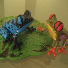 frog exotics toys & games education 3d print model - Mito3D