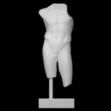 torso scan 3d print model - Mito3D