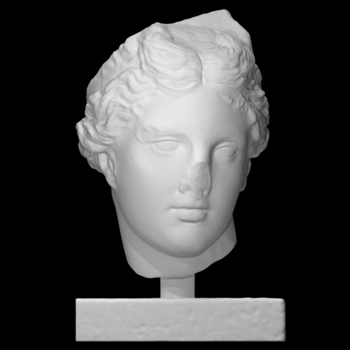 male head scan head male 3D print model - Mito3D