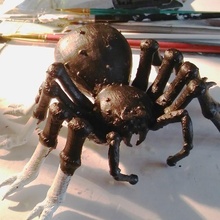 jba fofi giant spiders african congo toys & games giantspider africangiantspider 3d print model - Mito3D