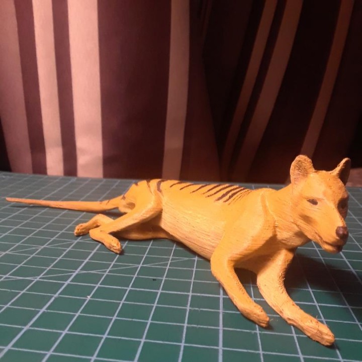 tasmanian tigre tilacino brinquedos jogos animal Austrália extinto 3D print model - Mito3D