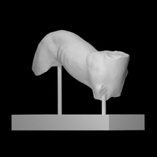 Hund Scan Fragment 3d print model - Mito3D