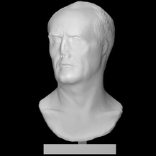 bust marius scan roman general 3d print model - Mito3D