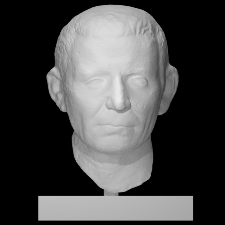 Porträt römisch Scan 3D print model - Mito3D