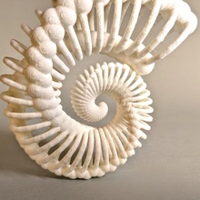 bone nautilus education art dual sigma supports tricky nightmare mathart bcn3d pva soluble r17 difficult 3d print model - Mito3D