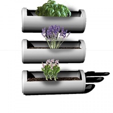 hanging herb garden & decoration hanger gardening planter upcycling indoor accessibility hippie succulent aesthetic potted sports&outdoor bosai recycledcans home&garden 3d print model - Mito3D