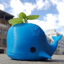 whale pot & garden flower animal cute 3d print model - Mito3D