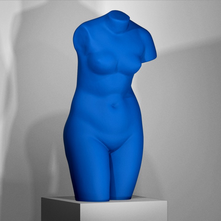 blu Venere scansione klein 3D print model - Mito3D