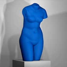 Blau Venus Scan klein 3d print model - Mito3D