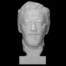 portrait homme analyse tête 3d print model - Mito3D