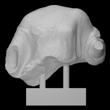 fragment figure aphrodite scan goddess greek mythology myth 3d print model - Mito3D
