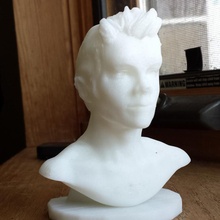 dylan o'brien busto fan art retrato ator celebridade obrien dylanobrien 3d print model - Mito3D