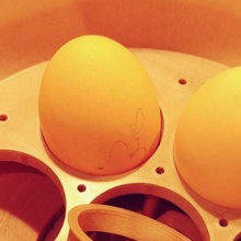 eggsbox & garden egg box kitchen chicken poultry oeufs 3d print model - Mito3D