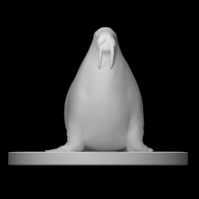 morsa escanear animal 3d print model - Mito3D