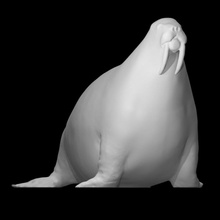 morsa base escanear animal 3d print model - Mito3D