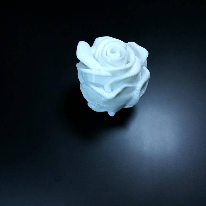 Rose Garten 3D print model - Mito3D