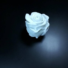Rose jardin 3d print model - Mito3D