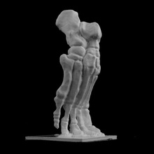 pé esqueleto parque olímpico d'ouchy lausanne suíça scan 3d print model - Mito3D