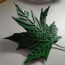 maple leaf & garden 3d print model - Mito3D