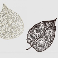 leaf veins & garden 3d print model - Mito3D