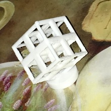 lattice & garden cool cute test torture muse makers 3d print model - Mito3D