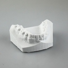 dientes educación dentista moho dentados 3d print model - Mito3D