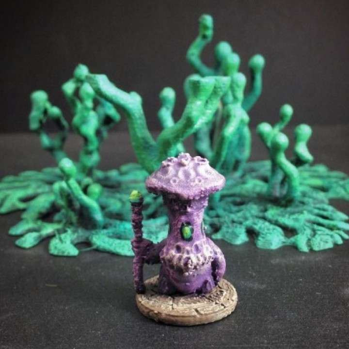 mytoan psico pontiff 15mm escala tampo mesa estrangeiro fantasia jogos miniaturas modelo rpg guerra miniatura scifi tabuleiro viajante jogo cogumelo mutante fungo alienígenas 3D print model - Mito3D