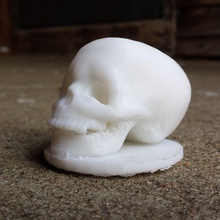 wacom crâne stylet stand l'éducation 3d print model - Mito3D