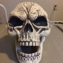 skull sculpture 3d scan including hollow version toys & games lamp led statue meshmixer human 3d print model - Mito3D