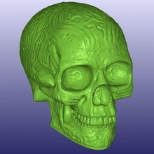celtico cranio 3d scansione cavo formazione scolastica luce digitalizzatore makerbot 3d print model - Mito3D