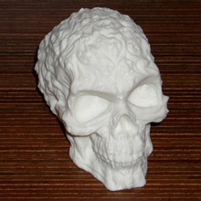 spook skull 3d scan hollow & garden digitizer makerbotdigitizer 3d print model - Mito3D