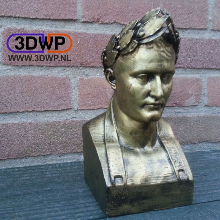 Napoleón busto 3d escanear educación Arte escultura estatua museo réplica Lincoln Oliver laric 3D print model - Mito3D