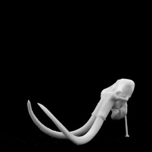 mamute crânio museu história natural londres scan 3d print model - Mito3D