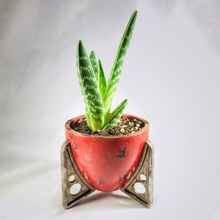 fallout 4 desktop planter & garden decoration plant pot prop fallout4 3d print model - Mito3D