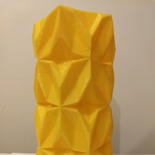 geometric vase & garden 3d 3dprint decor geometricvase 3d print model - Mito3D