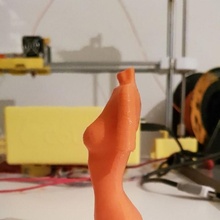 hembra figura educación cuerpo torso 3d print model - Mito3D