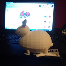 Pasqua coniglietto sorpresa Tinkercadeatter giardino tinkercad 3d print model - Mito3D
