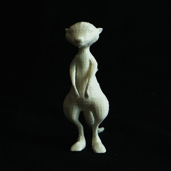 meerkat karikatür oyuncaklar oyunlar çizgi film model 3D print model - Mito3D