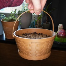 wicker basket & garden container decoration easter wood planter woven 3d print model - Mito3D