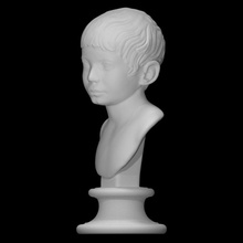 portrait boy scan 3d printable bust face hair head sculpture young 3d print model - Mito3D