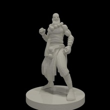 monk collection tabletop fighter gaming orc rpg dragonborn gnome hobbit d&d dnd dungeons dragons pathfinder karate dungeons&dragons halforc halfling kung fu 3d print model - Mito3D
