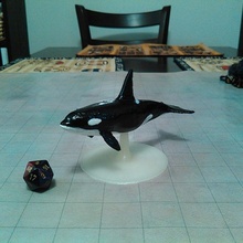 uccisore balena tavolo giochi oceano rpg mare orca assassina 3d print model - Mito3D