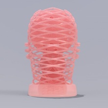 Trophäe 2018 3dpiawards Wettbewerb Garten Kopf 3D Druckindustrie Protolabs 3d print model - Mito3D