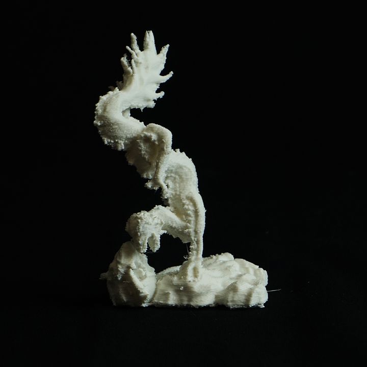 dragon chinois jardin nuages 3D print model - Mito3D