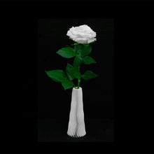 twisted vase laura jardin fleurs tordu 3d print model - Mito3D