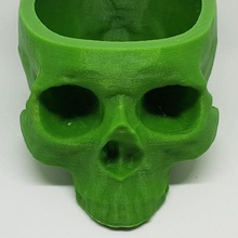 skull plant pot & garden 3d 3dprint 3dmodel plants decor 3dprintskull 3d print model - Mito3D