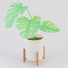 mini monsteras & planter garden plant pot midcentury monstera deliciosa eames 3d print model - Mito3D