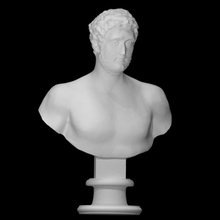 portrait barbu homme analyse imprimable buste visage cheveux tête barbe marbre Jeune 3d print model - Mito3D